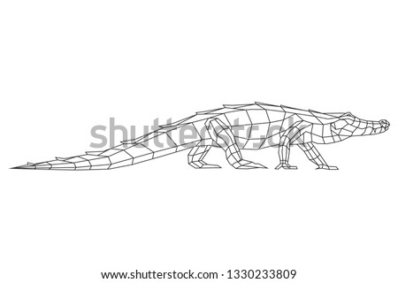 Crocodile triangle polygonal model