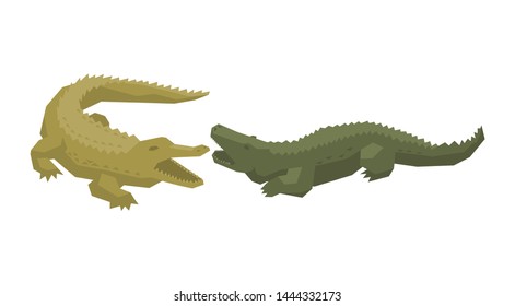 Crocodile vector cartoon crocodilian character of green alligator carnivore illustration animalistic set of dangerous amphibian predator with jaws isolated on white background