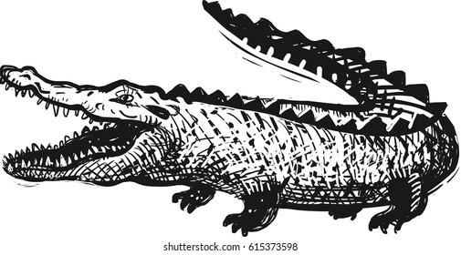 Crocodile vector illustration