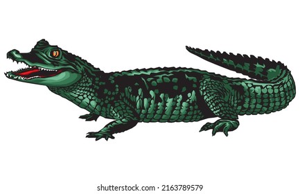 2,200 Angry alligator Images, Stock Photos & Vectors | Shutterstock