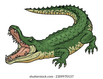 Crocodile. Vector illustration of a angry alligator. Marine or river predatory