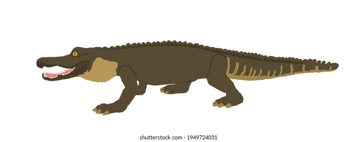 Crocodile vector illustration isolated on white background. Alligator symbol. Cayman illustration, powerful reptile animal. Under water predator carnivore.
