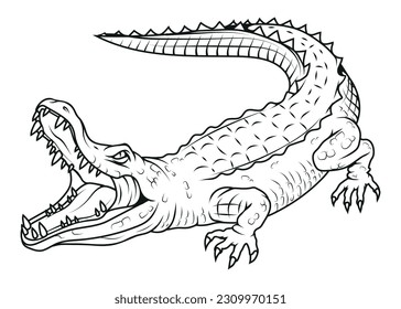 Crocodile. Vector illustration of a sketch angry alligator. Marine or river predatory