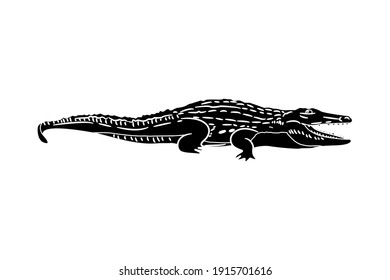 Crocodile Vector Illustration Solid Color