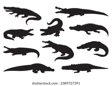 Crocodile Vector For Print, Crocodile Clipart, Crocodile vector Illustration