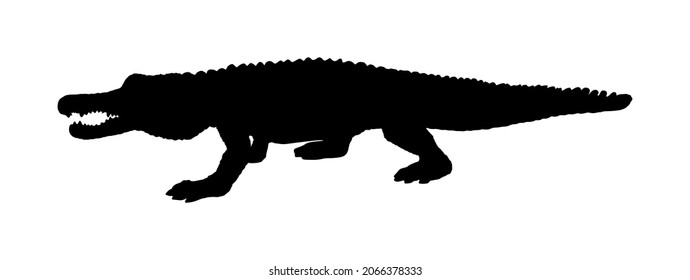 Crocodile vector silhouette illustration isolated on white background. Alligator symbol. Cayman illustration, powerful reptile animal. Under water predator carnivore.