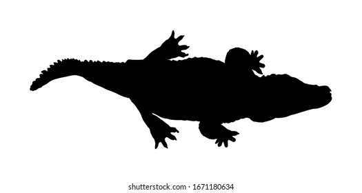 1,348 Alligator in water silhouette Images, Stock Photos & Vectors ...