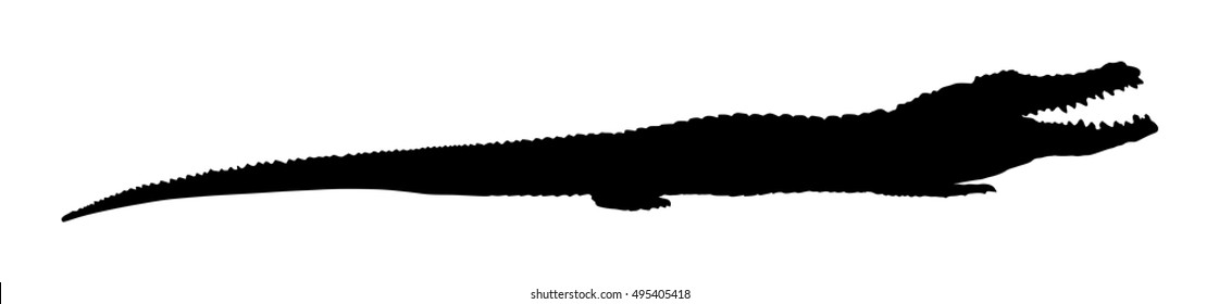 Crocodile vector silhouette on the white background. Alligator silhouette. Cayman symbol.