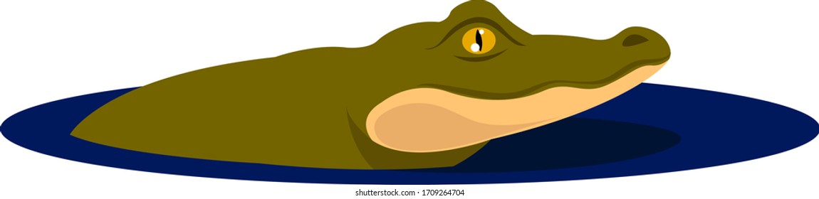 Crocodile in water, illustration, vector on white background