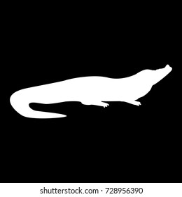 Crocodile white icon .