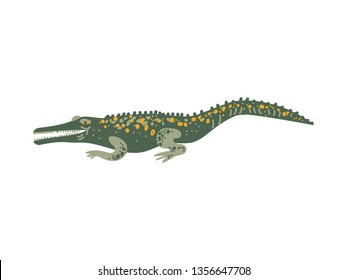 Crocodile Wild Exotic Reptile Animal Vector Illustration