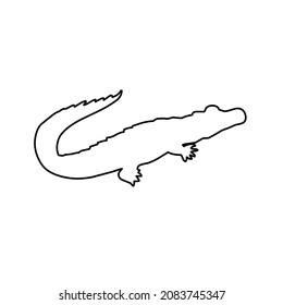 crocodile wild nature life sign 
