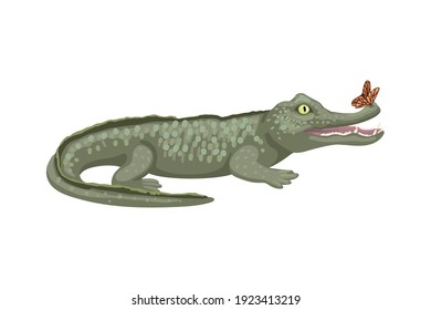 Crocodile, wild tropical animal african, cute illustration, funny predator. Alone animal, zoology illustration. Vector isolated on white background