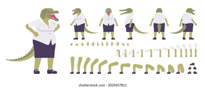 Crocodile woman, green reptile lady, animal head, tail construction set. Aggressive dangerous person with jaws, teeth, wild predator. Cartoon flat style infographic illustration, different gestures