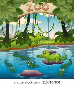 Crocodile in the zoo illustration