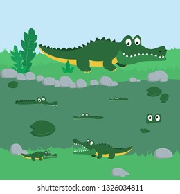 Crocodiles on the river