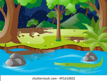 Crocodiles in the river and on land illustration