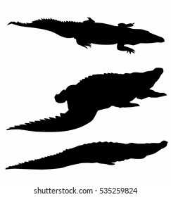 Crocodiles Silhouette Set - Vector