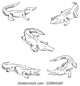 Crocodiles. Sketch pencil. Drawing by hand. Vector