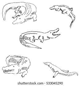 45,094 Crocodiles and alligators Stock Illustrations, Images & Vectors ...