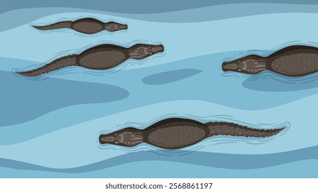 Crocodiles swimming together in a blue river