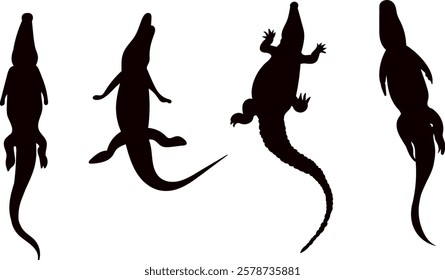 crocodiles top view black silhouette vector