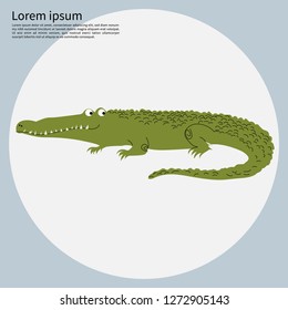 Crocodile.Vector Cartoon Flat Illustration