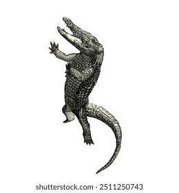 Crocodilia animal vector ilustration design template 