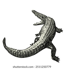 Crocodilia animal vector ilustration design template 