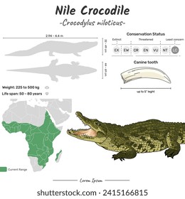 Crocodylus niloticus Nile crocodile geographic range. Can be used for topics like biology, zoology. 