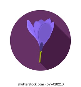 Crocus color flat icon for web and mobile design
