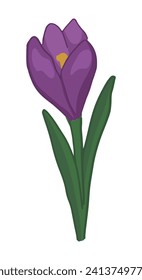 Crocus doodle. Spring time flower clipart. Cartoon vector illustration isolated on white background.