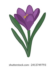 Crocus doodle. Spring time flower clipart. Cartoon vector illustration isolated on white background.