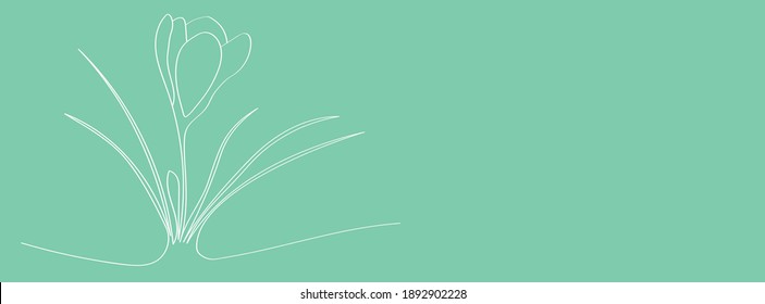 Crocus son las primeras flores de primavera del bosque, una plantilla para una hermosa tarjeta de saludo de Pascua al estilo de doodle. Dibujo de esquema blanco para colorear niños, una muestra para una pantalla web
