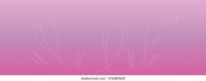 Crocus are the first spring flowers of the forest, a template for a beautiful Easter greeting card in the style of doodle. White outline drawing for children's coloring, a sample for a web screensa.