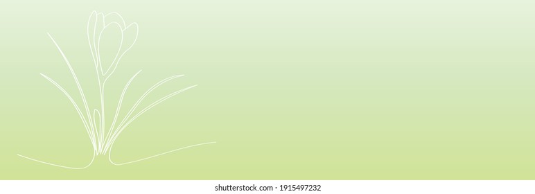 Crocus son las primeras flores de primavera del bosque, una plantilla para una hermosa tarjeta de saludo de Pascua al estilo de doodle. Dibujo de esquema blanco para colorear niños, una muestra para una pantalla web.