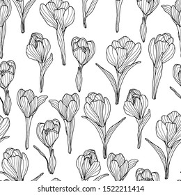 Crocus flower background. Spring flower on white. Floral seamless pattern, fabric, cover