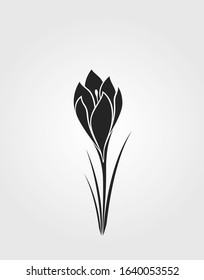 crocus flower black silhouette. spring flower design element. isolated vector image