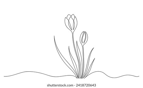 Crocus flower drawn by one line. Sketch first spring flowers. Continuous line drawing botanical art. Design for tattoo art, border, divider. Vector illustration in minimalist style.
