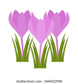 Crocus flower flat icon, wild flowers, plant vector illustration isolated on white background