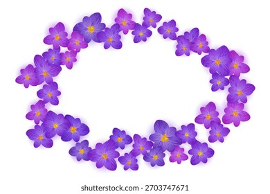Crocus flower frame in bright purple and lilac shades forming oval shape. Isolated spring blossoms arrangement with copy space. Perfect border for spring greeting card.