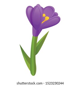 Crocus flower icon. Cartoon of crocus flower vector icon for web design isolated on white background