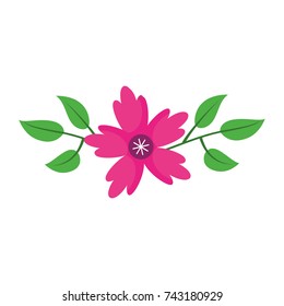 crocus flower leaves natural decoration ornament