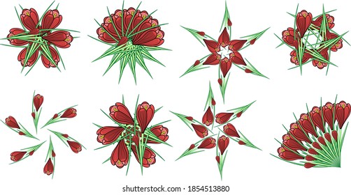 Crocus flower pattern, circles flowers