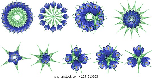 Crocus flower pattern, circles flowers