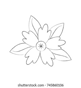 crocus flower petal leaves stem natural ornament