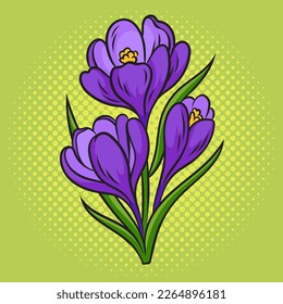 Crocus flower pop art retro vector illustration. Comic book style imitation.