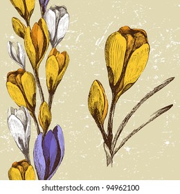 crocus flower and seamless border in retro style