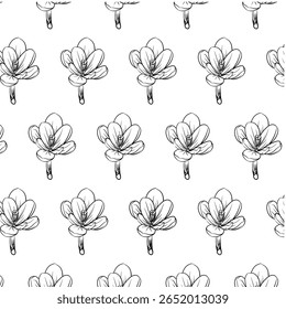 Crocus flower Padrão sem costura Mão desenhado vetor linha arte, Preto e Branco Flor isolado em branco. Design bonito para têxteis, papel de parede, papel de embrulho e fundos