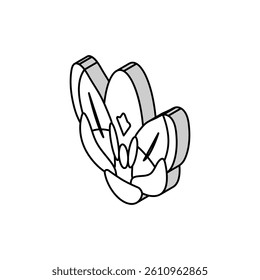 crocus flower spring isometric icon vector. crocus flower spring sign. isolated symbol illustration